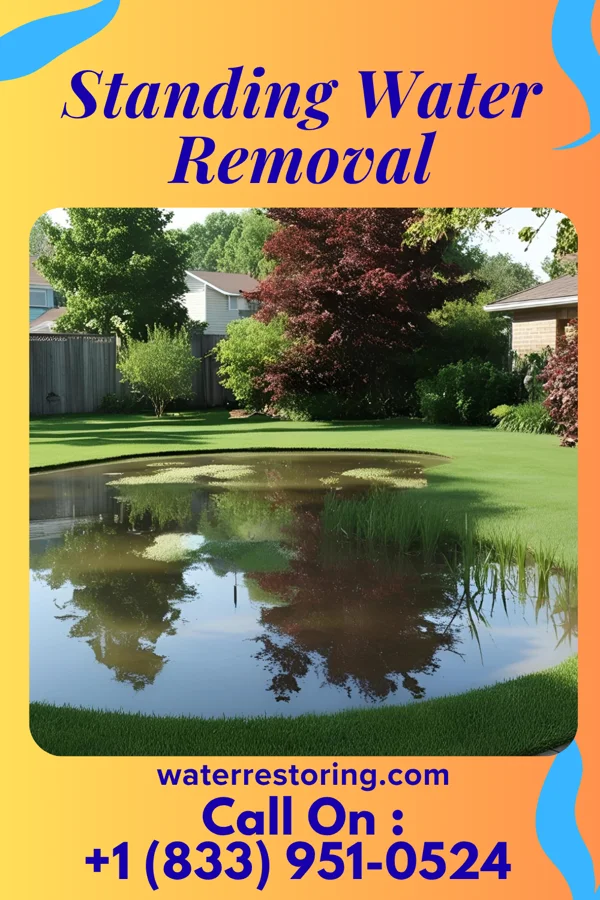 Standing Water Removal in Suamico, WI